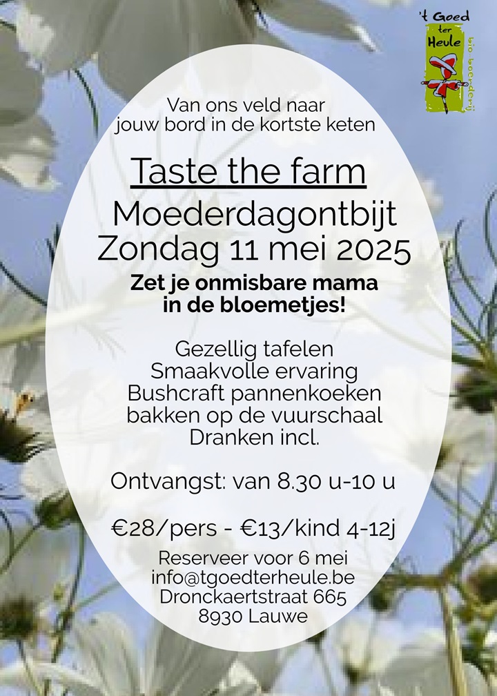 Moederdag ned 4 1